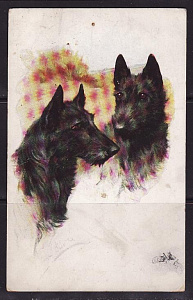 Породы собак почтовая карточка